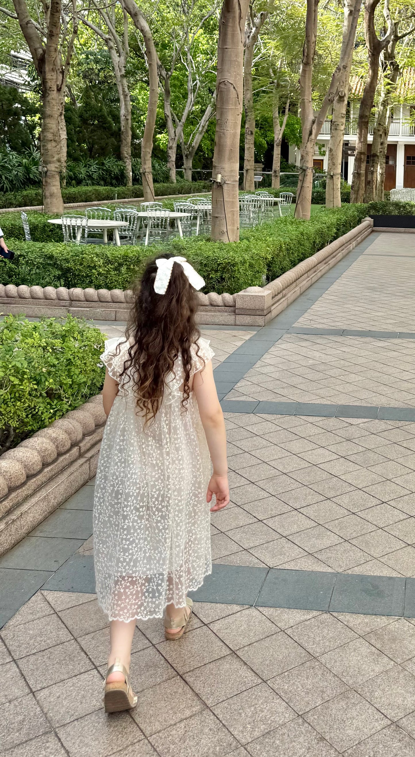 The Charlotte lace dress